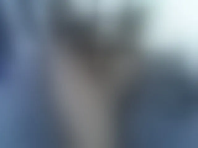 Live sex webcam photo for Winnie112 #293469871