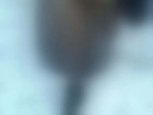 Live sex webcam photo for Winnie112 #293704488