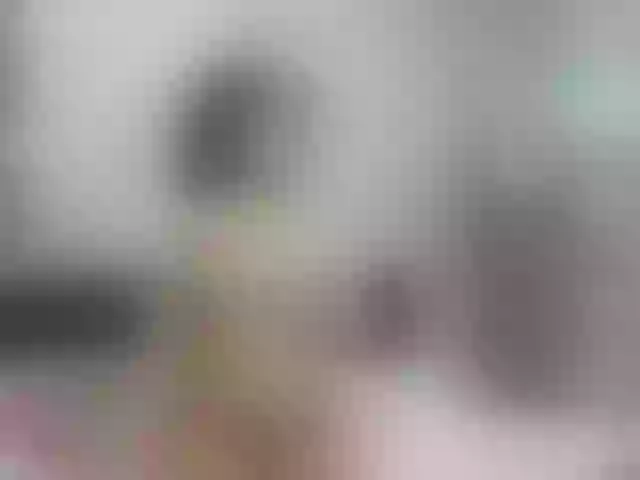 Live sex webcam photo for WinniferGonzalez #276569455