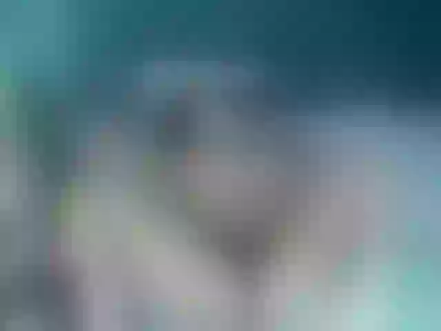 Live sex webcam photo for WinniferGonzalez #277872684