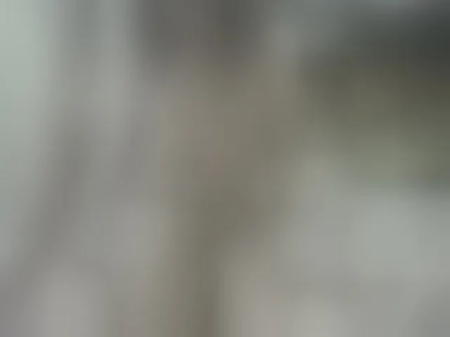 Live sex webcam photo for Winx20 #277638411