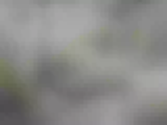 Live sex webcam photo for Winx20 #277789858