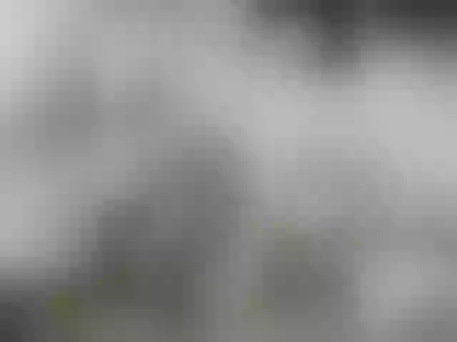 Live sex webcam photo for Winx20 #277829817