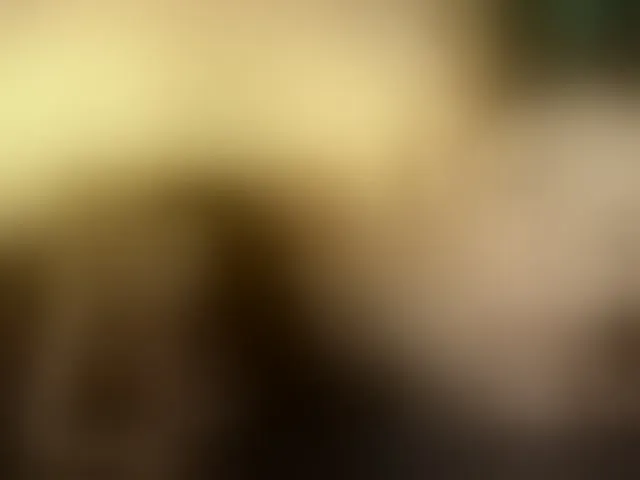 Live sex webcam photo for WithinTemptation #293843963