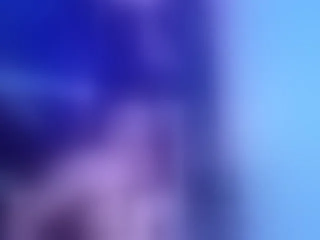 Live sex webcam photo for Wondrekloe #293678660