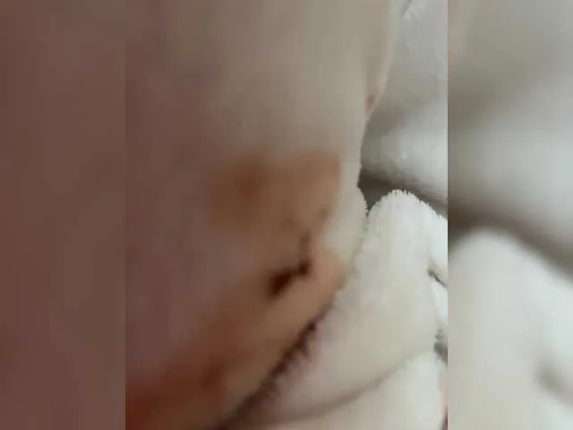 Live sex webcam photo for Wow-Eva #291377952