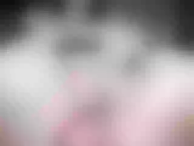 Live sex webcam photo for Wowsquirtx1 #276041533
