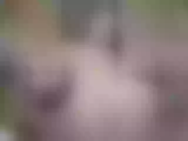 Live sex webcam photo for Wowsquirtx1 #277089575