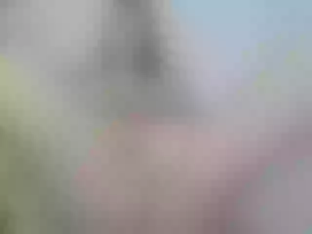 Live sex webcam photo for Wowsquirtx1 #277378680