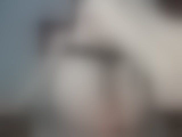 Live sex webcam photo for Wowsquirtx1 #277606606