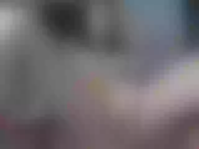 Live sex webcam photo for Wowsquirtx1 #277681573