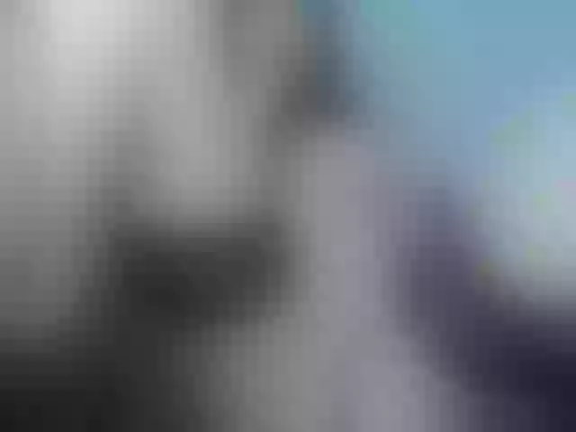 Live sex webcam photo for Wowsquirtx1 #288464823