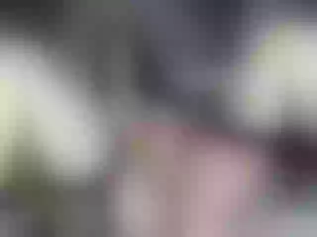 Live sex webcam photo for Wowsquirtx1 #290240688