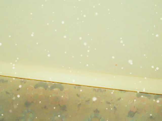 Live sex webcam photo for XMomentX1 #272466582