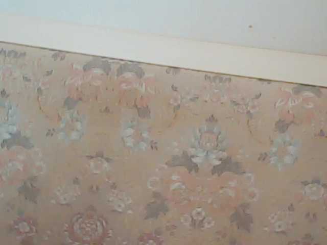 Live sex webcam photo for XMomentX1 #273345763