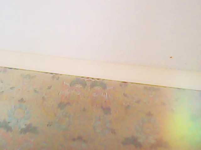 Live sex webcam photo for XMomentX1 #276341616