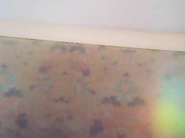 Live sex webcam photo for XMomentX1 #289627804