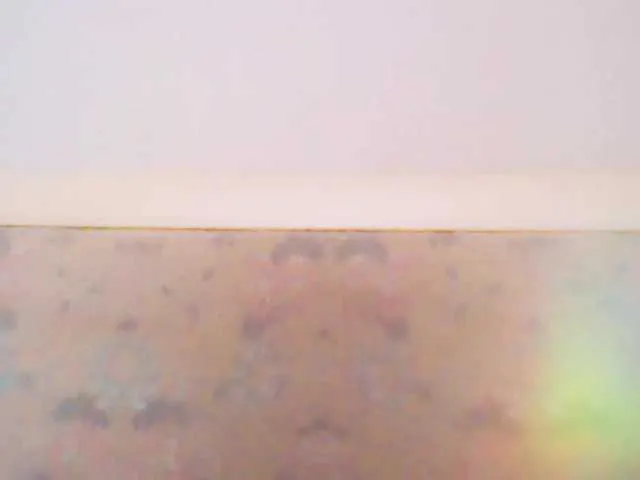 Live sex webcam photo for XMomentX1 #290833324