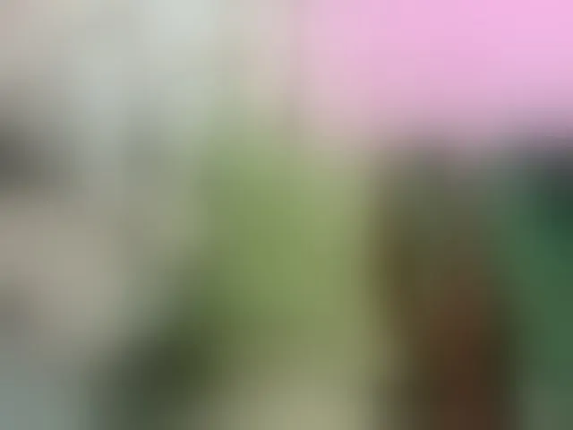 Live sex webcam photo for XXhornywetprincess99XX #292604780