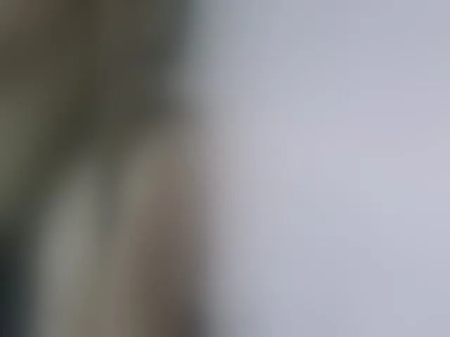 Live sex webcam photo for XXhornywetprincess99XX #293322800