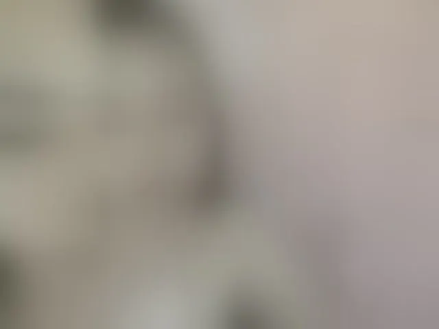 Live sex webcam photo for XXhornywetprincess99XX #293804282