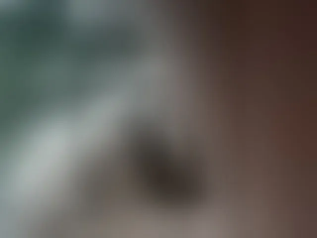 Live sex webcam photo for XXhornywetprincess99XX #294251715