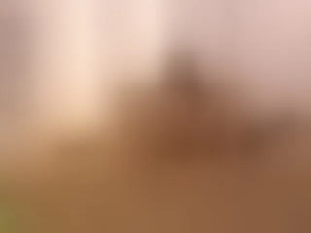 Live sex webcam photo for Xamarha #293874411