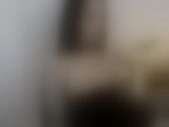 Live sex webcam photo for Xenthis #293319417