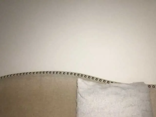 Live sex webcam photo for Xoxcat #291946449