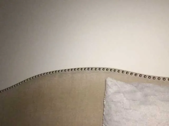 Live sex webcam photo for Xoxcat #292226683