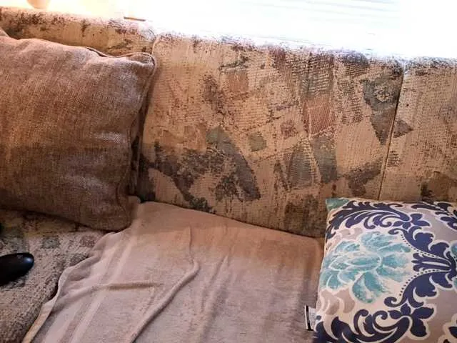 Live sex webcam photo for XxpixeyxX #291535018