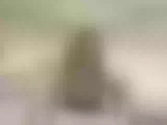 Live sex webcam photo for XxxSexyMilfxxX #292216221