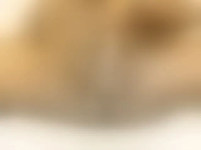 Live sex webcam photo for YOUBIGFIRE30 #293777551