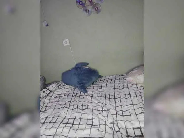 Live sex webcam photo for Yalex24 #278021465