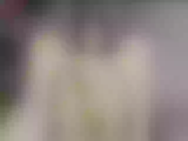 Live sex webcam photo for YamatoBrodsky1 #290865922