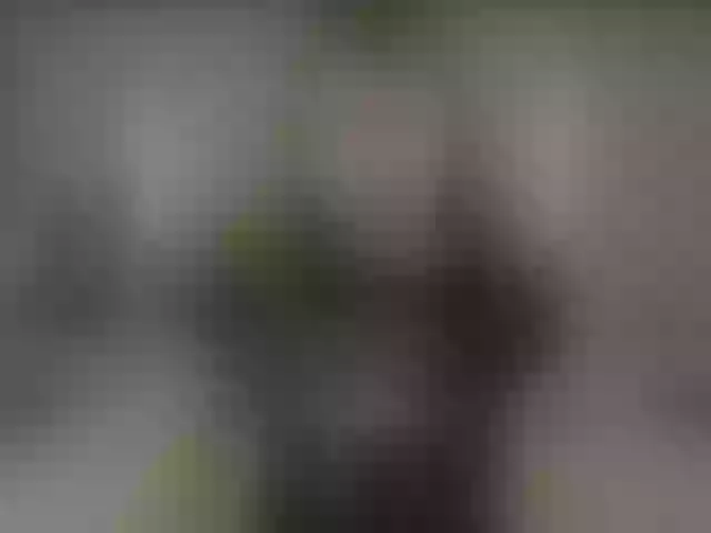 Live sex webcam photo for YamatoBrodsky1 #292103793