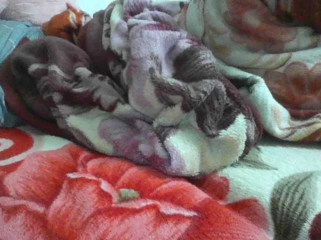 Live sex webcam photo for Yanhnhi #290281686