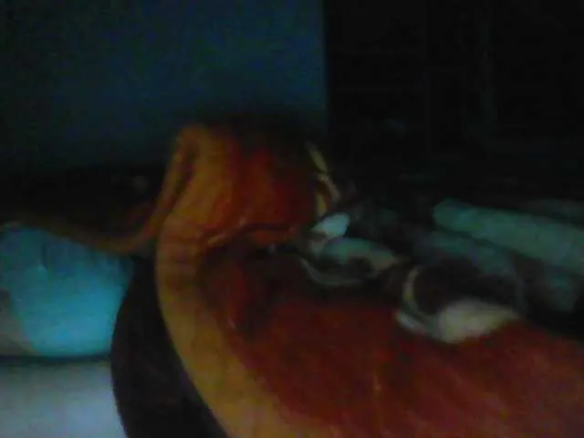 Live sex webcam photo for Yanhnhi #290293462