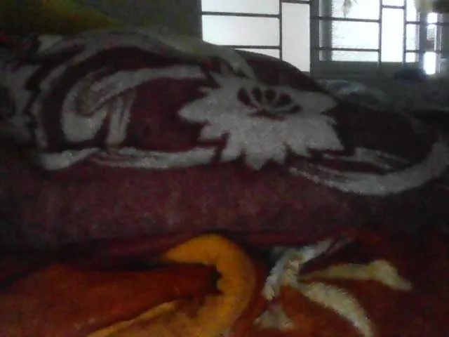 Live sex webcam photo for Yanhnhi #290303997