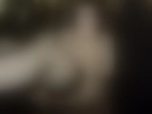 Live sex webcam photo for Yanikkka #292534813