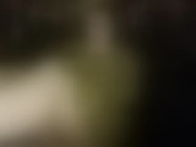 Live sex webcam photo for Yanikkka #292567699