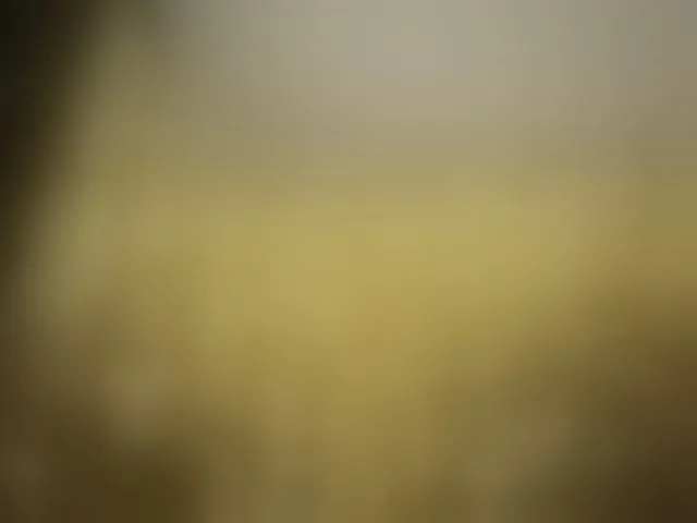 Live sex webcam photo for Yanikkka #293127678