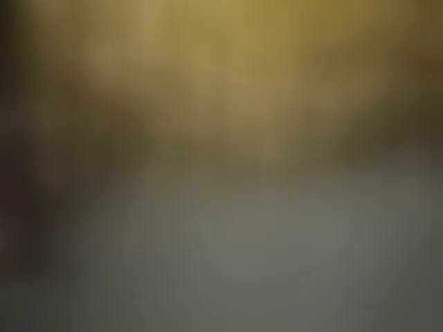Live sex webcam photo for Yanikkka #293614569