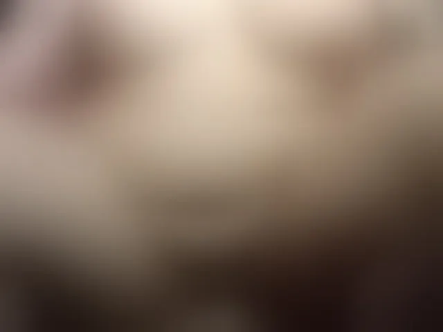 Live sex webcam photo for Yanikkka #293905294