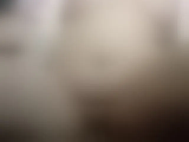 Live sex webcam photo for Yanikkka #293949127