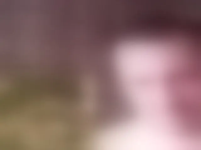 Live sex webcam photo for YaraStepOne #293709529