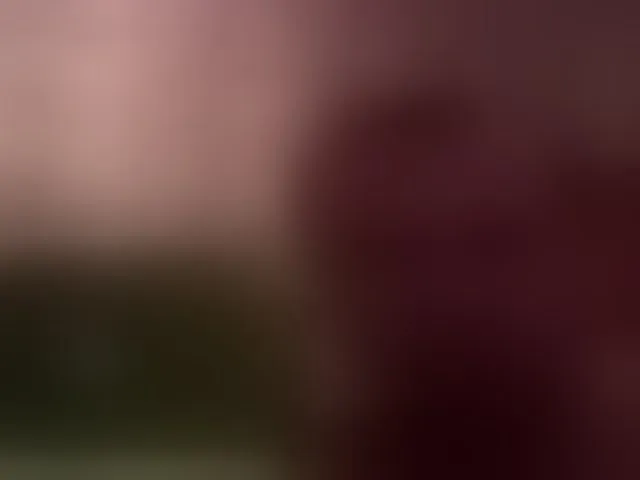 Live sex webcam photo for YaraStepOne #294051691