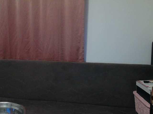 Live sex webcam photo for YasminaGeil #290178199