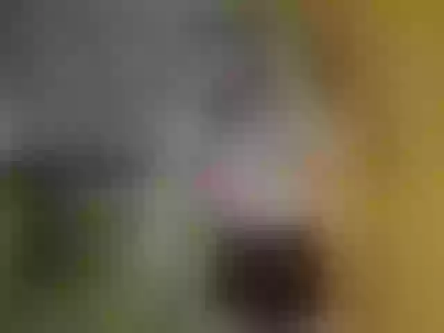 Live sex webcam photo for YoPixie #291877848