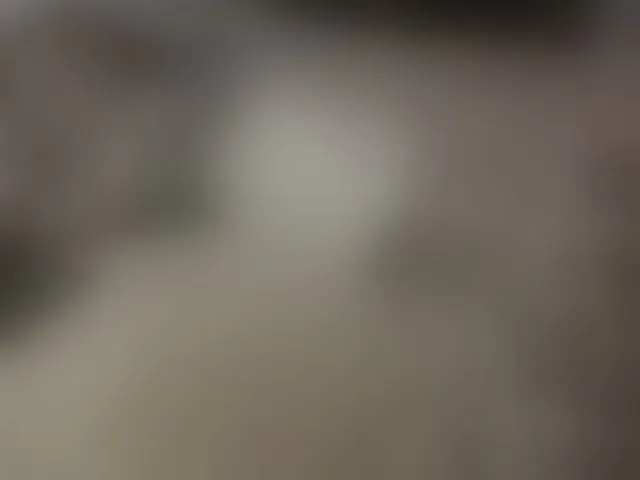 Live sex webcam photo for YoRHa2B #292486444